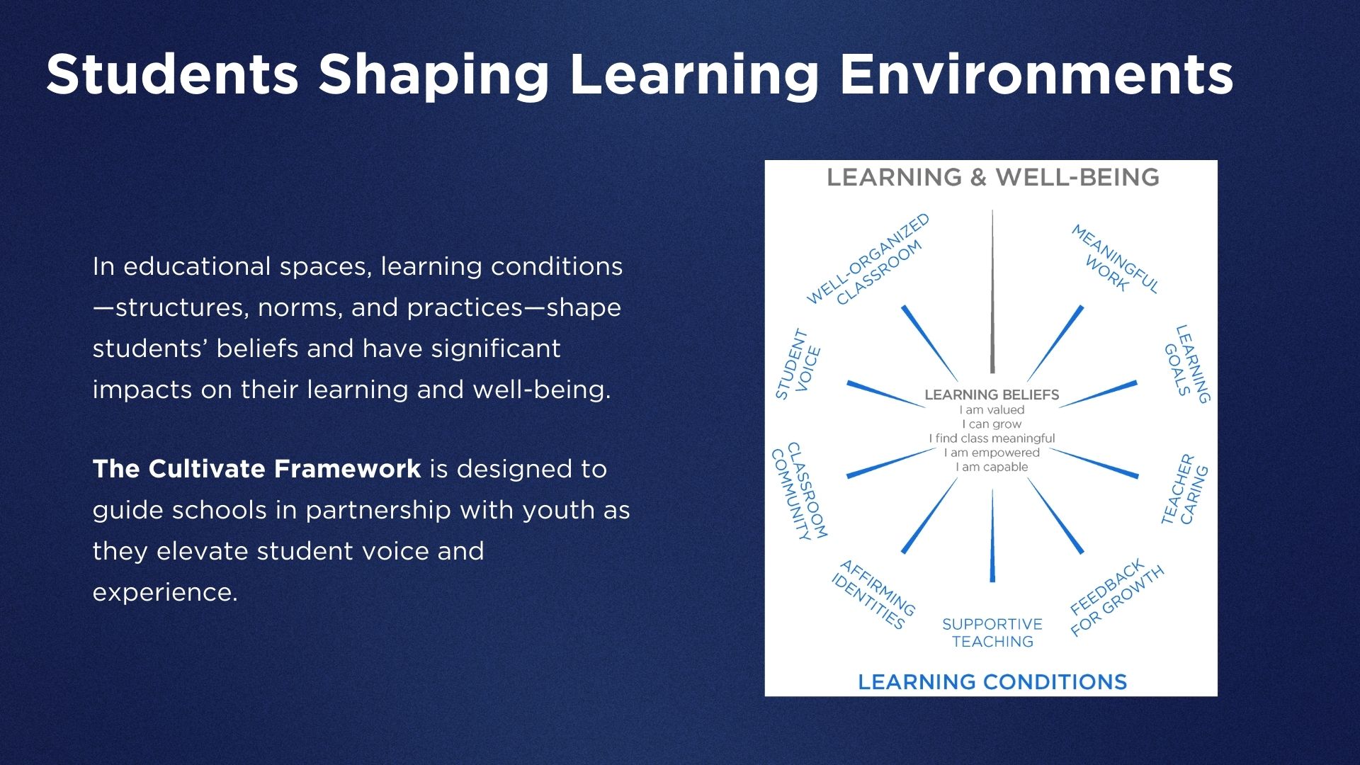 Image of a diagram about learning environments